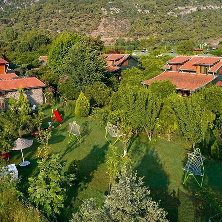 Flora Pansiyon Çıralı Daire Kemer Dış mekan fotoğraf