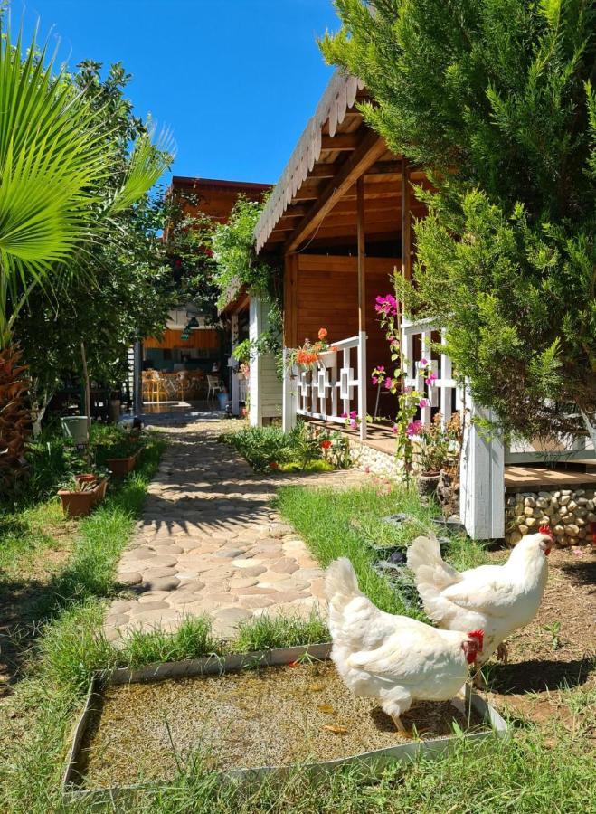 Flora Pansiyon Çıralı Daire Kemer Dış mekan fotoğraf
