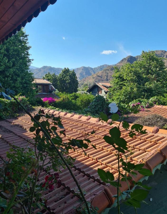 Flora Pansiyon Çıralı Daire Kemer Dış mekan fotoğraf