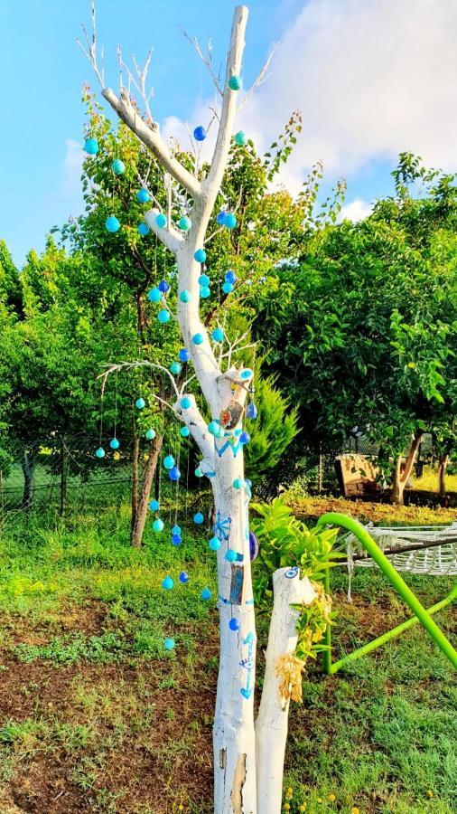 Flora Pansiyon Çıralı Daire Kemer Dış mekan fotoğraf