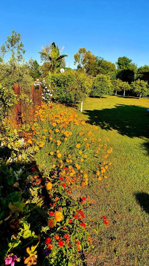 Flora Pansiyon Çıralı Daire Kemer Dış mekan fotoğraf